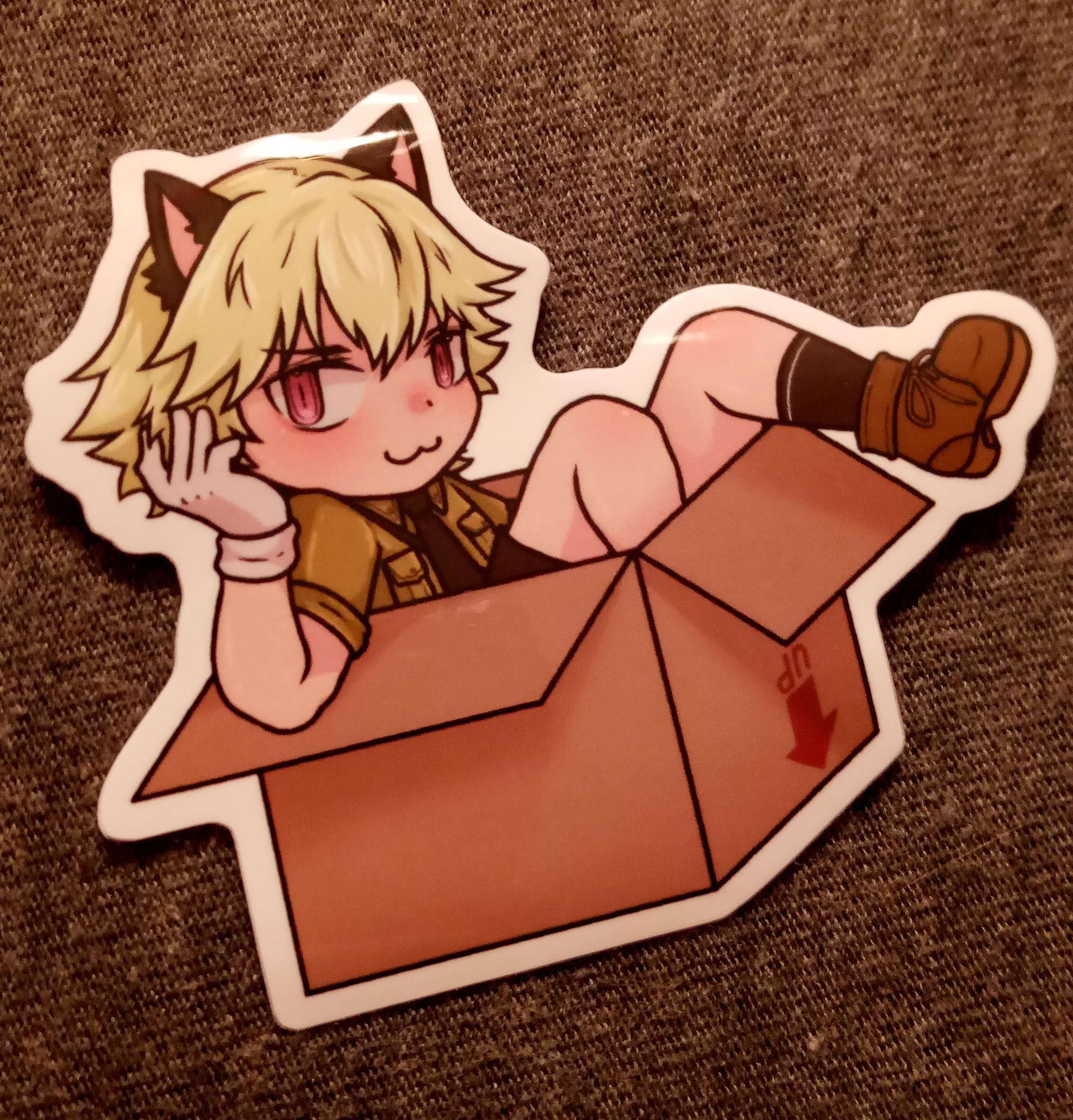 5 Piece Hellsing Schrödingers Cat Vinyl Sticker