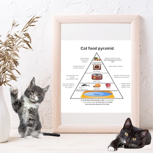 Cat Food Pyramid | Pet Feeding Guidelines | Healthy Eating Recommendations | Cats Lovers Gift