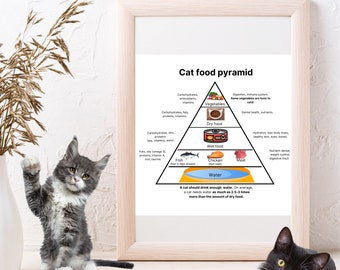 Cat Food Pyramid | Pet Feeding Guidelines | Healthy Eating Recommendations | Cats Lovers Gift