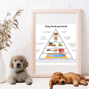 Dog Food Pyramid | Healthy Pet Diet Recommendations | Instant Download | Dog Lovers Gift