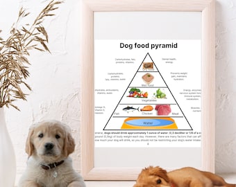 Dog Food Pyramid | Healthy Pet Diet Recommendations | Instant Download | Dog Lovers Gift