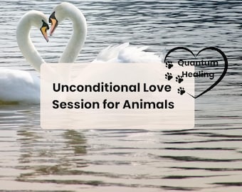 Amour inconditionnel pour les animaux | Séance d'énergie quantique | Soins holistiques à distance | Cadeau pour amoureux des animaux