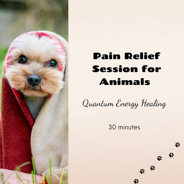 Pain Relief Session for Animals | Quantum Energy Healing | Distance Holistic Healing for Any Animal | Pet Lover Gift