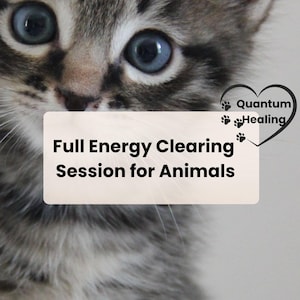 Full Energy Clearing Session for Pets and Animals | Quantum Energy Cleansing | Holistic Healing | Remove Negative Energy | Pet Lover Gift