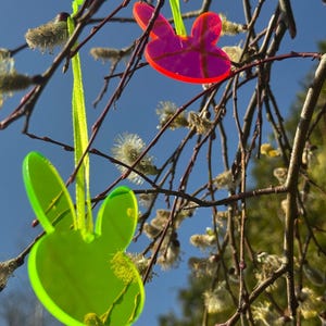 May include: Two vibrant Easter bunny decorations suspended from tree branches against a blue sky. One is a bright pink with a red outline, the other is neon green. Both are hung by yellow-green ribbons, creating a cheerful spring display.