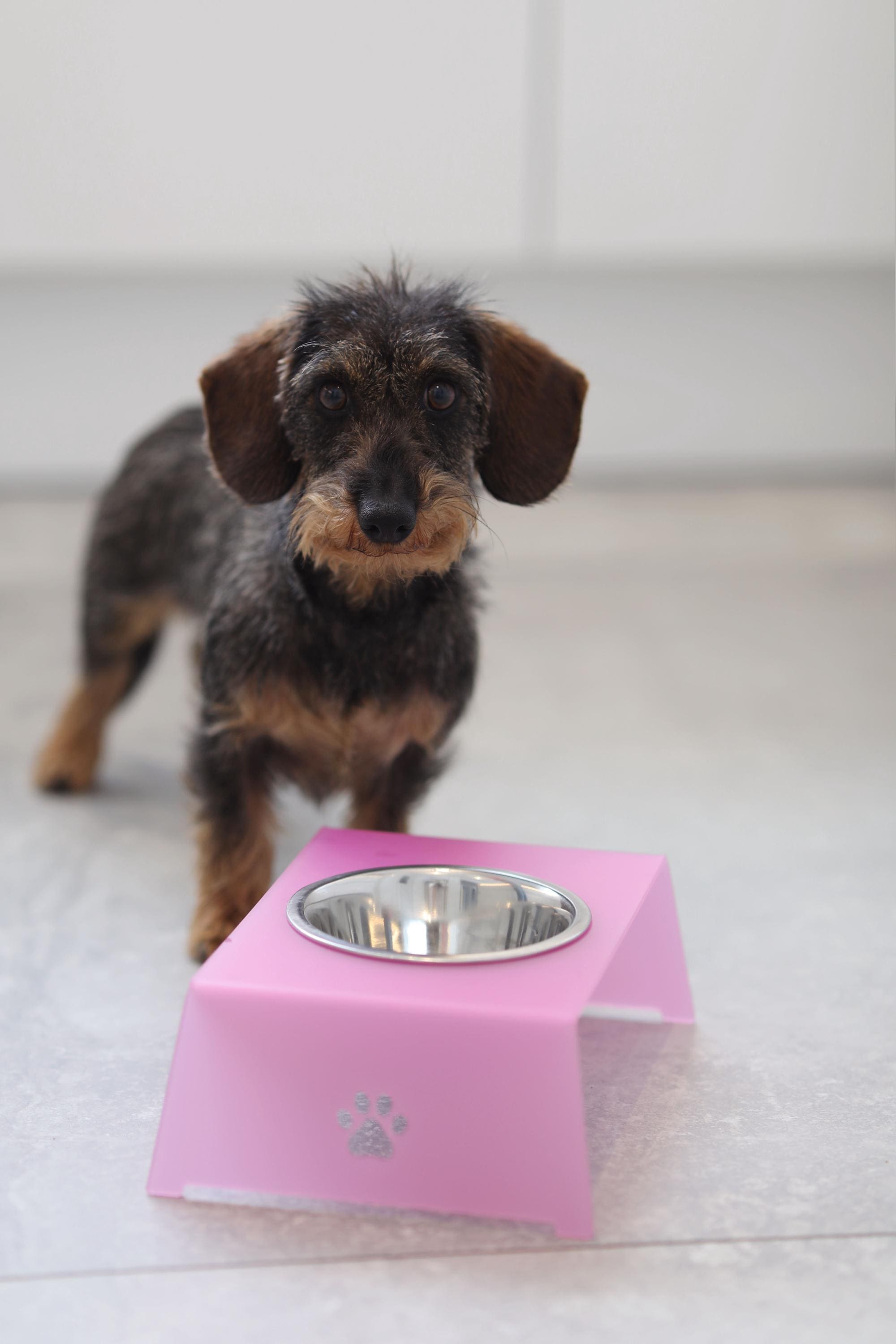 Futterstation hund spritzschutz - Etsy sterreich