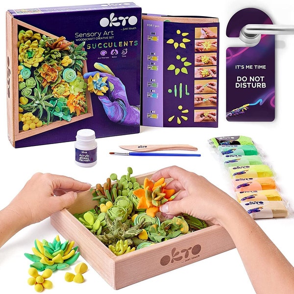 Modeling Clay Kit Set, Succulent Air Dry Clay Kit, Adult Craft Art Kit, Succulent Gift Box, Kids and Teens Craft Kit, Soft Clay Kit Set