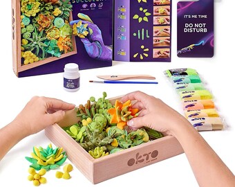 Modeling Clay Kit Set, Succulent Air Dry Clay Kit, Adult Craft Art Kit, Succulent Gift Box, Kids and Teens Craft Kit, Soft Clay Kit Set
