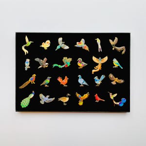 a collection of colorful bird illustrations arranged in a grid-like pattern on a black background.