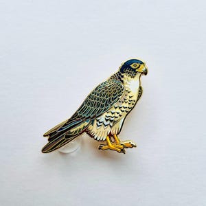 ハヤブサのピンバッジ：鳥好きのためのアメリカの猛禽類