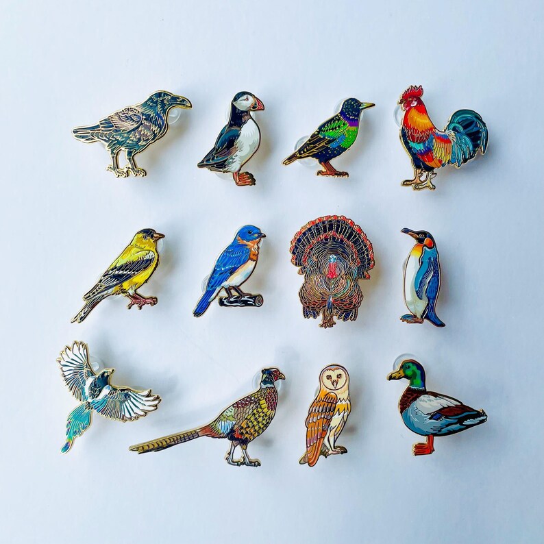 a collection of 12 colorful bird pins arranged in a grid pattern.