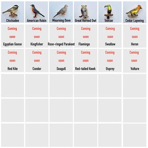 a grid of nine bird images, each labeled with a different bird species. The birds include a Chikadee, an American Robin, a Mourning Dove, a Great Horned Owl, a Toucan, an Egyptian goose, a Kingfisher, a Rose-ringed Parakeet, a Swallow, a Heron, a Red Kite, a Condor, a Seagull, and a Red-tailed Hawk.