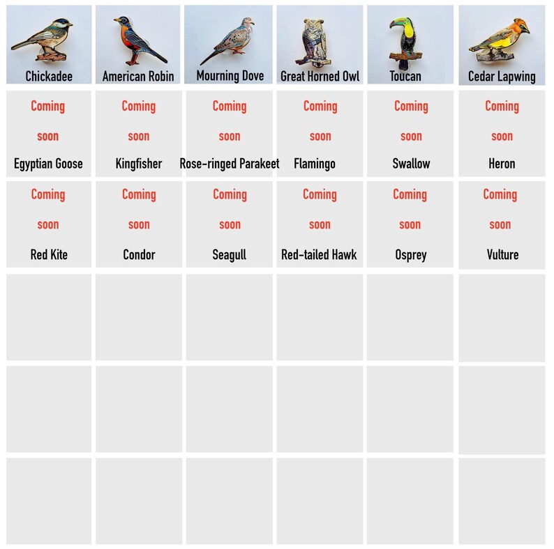 a grid of nine bird images, each labeled with a different bird species. The birds include a Chikadee, an American Robin, a Mourning Dove, a Great Horned Owl, a Toucan, an Egyptian goose, a Kingfisher, a Rose-ringed Parakeet, a Swallow, a Heron, a Red Kite, a Condor, a Seagull, and a Red-tailed Hawk.