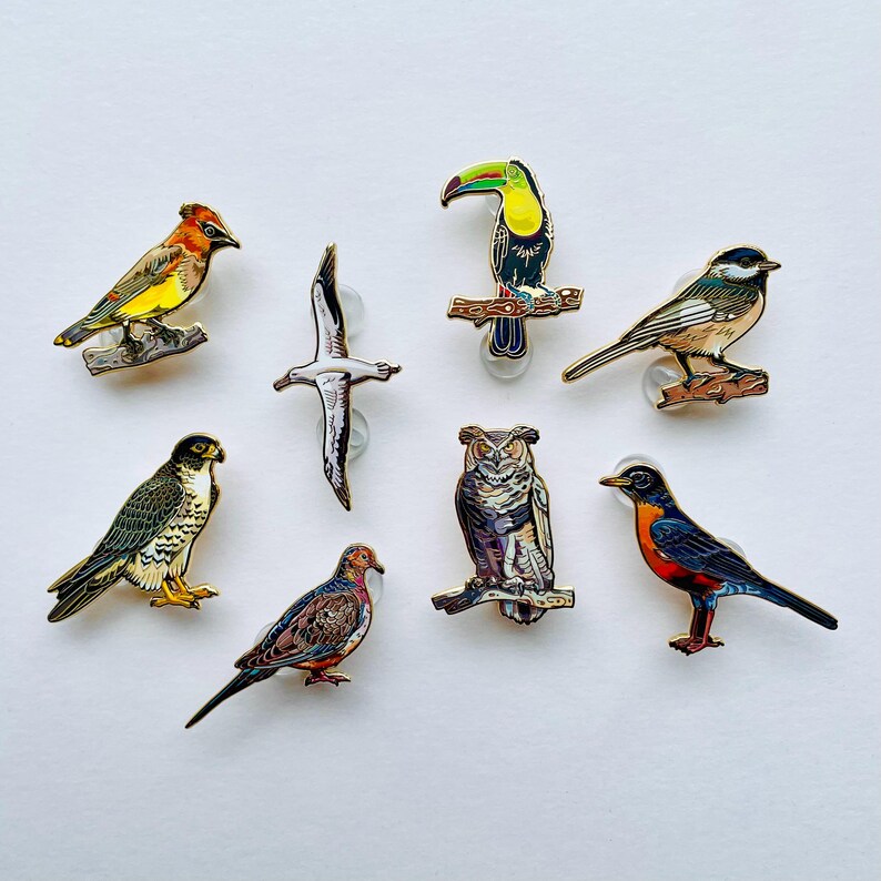 以下が含まれることがあります： オオハシ、フクロウ、コマドリなど、カラフルな鳥のエナメルピンのコレクション。各ピンは詳細なデザインが特徴で、透明な裏面に付いています。ピンは白い背景に配置されています。
