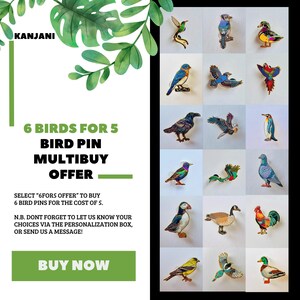 The image is an advertisement for a bird pin multibusoy offer. It features a collage of various colorful bird pins displayed in a grid layout. The text on the advertisement highlights the offer, stating that customers can purchase 6 bird pins for the cost of 5, and that the personalization box is available for sending a message. The advertisement also includes a "BUY NOW" button at the bottom.