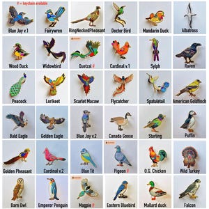 a collection of colorful bird pins, each featuring a different bird species. The birds are depicted in various poses and colors, showcasing their unique features and characteristics.