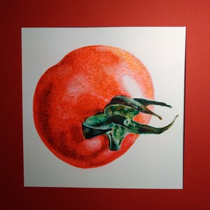 Pomodoro, tomato, tomate, トマト, 番茄