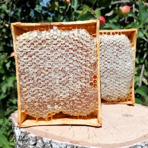 May include: Two rectangular wooden frames containing golden honeycomb with hexagonal wax cells filled with honey. The frames are positioned upright, showcasing the intricate, textured pattern of the wax structure and the translucent amber liquid within.