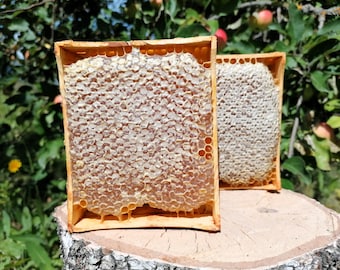 Miele di favo puro 470-650 g/16,6-22,9 oz