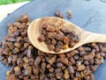Raw Bee Bread (Perga) - Fermented Bee Pollen Superfood from Latvia product logo