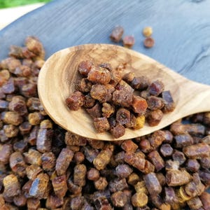 May include: A wooden spoon filled with small, cylindrical, dark brown bee pollen granules. The spoon rests on a large pile of identical bee pollen pieces, showcasing their textured, irregular surfaces and deep amber to brown color variations.