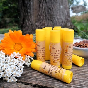 Bees wax Lip Balm with propolis, Moisturizer