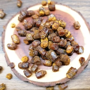 Bibröd, Ambrosia, Perga