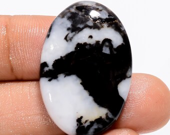 Jaspe zèbre noir Forme ovale Cabochon Qualité supérieure attrayante 100% Pierre précieuse en vrac naturelle pour la fabrication de bijoux 33,5 Ct 30X20X5mm GN-1266