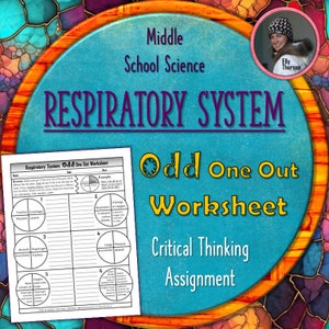 May include: A worksheet for middle school science students to learn about the respiratory system. The worksheet is titled "Respiratory System Odd One Out Worksheet" and features a diagram of the respiratory system with six different sections. Each section has a circle with four terms related to the respiratory system. Students must identify the odd one out in each section.