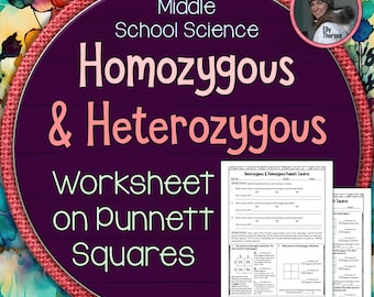 Heterozygous and Homozygous Punnett Squares Worksheet for Middle School Genetics