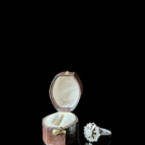 19th Century Victorian Antique Ring Box Set with Silver Ring, Elegant Ring Box, Ornate Jewelry Case afbeelding 3