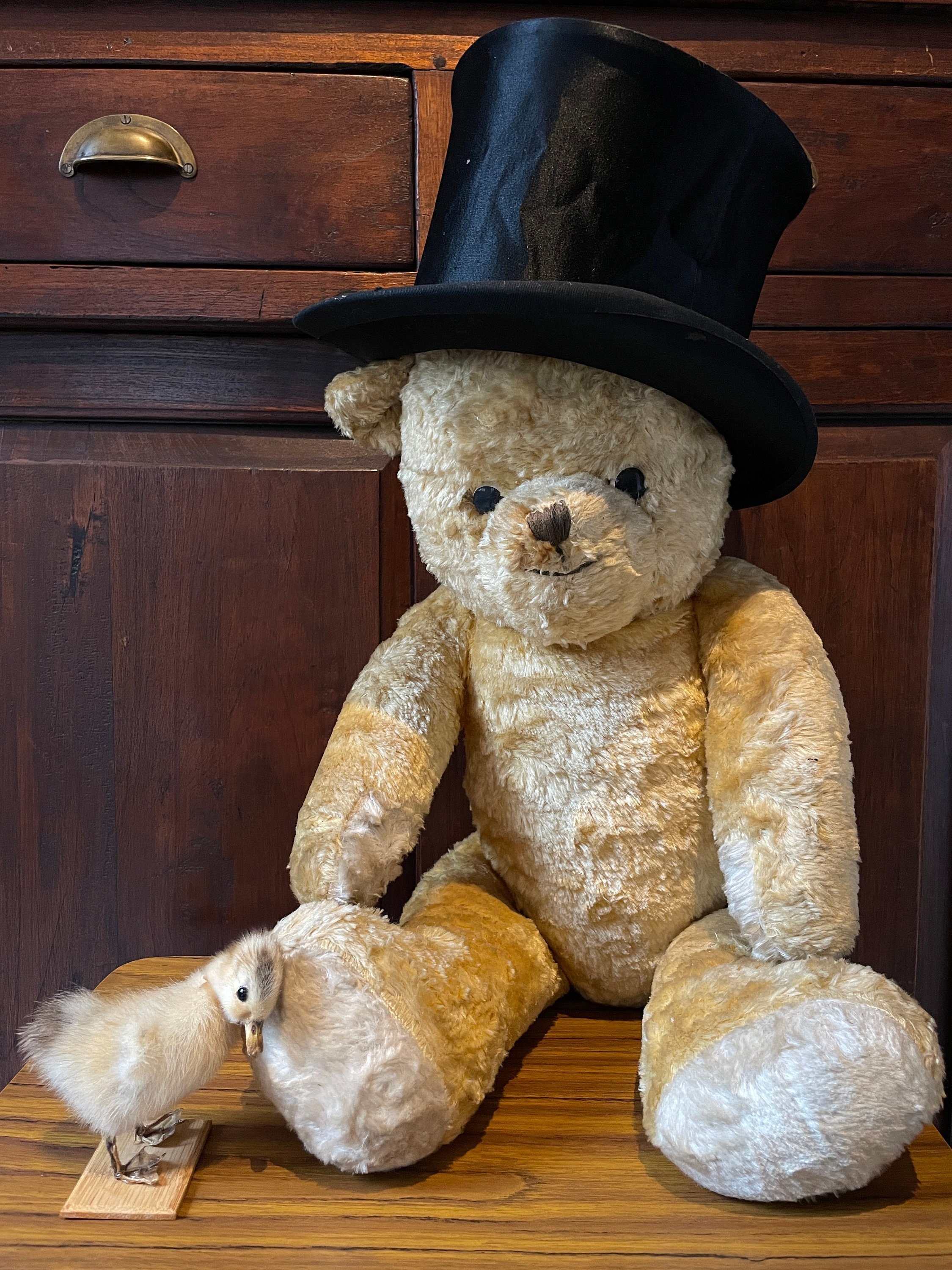 Bear With Top Hat Etsy