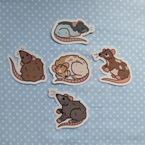 May include: Five rat stickers in various poses and colours, including brown, grey, and white, with pink tails. The stickers are on a light blue background with white polka dots. The rats are in a cartoon style.