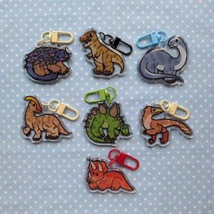 May include: Eight colorful dinosaur keychains with different designs. Each keychain features a different dinosaur species, including a stegosaurus, a triceratops, a brachiosaurus, and a velociraptor. The keychains are made of clear acrylic and have a metal ring for attaching to keys or bags.