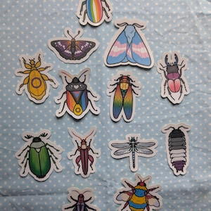 May include: A selection of insect stickers, including beetles, butterflies, and a dragonfly. The stickers feature a variety of colours and designs, including rainbow and transgender pride flag motifs. The stickers are arranged on a light blue fabric with white polka dots.