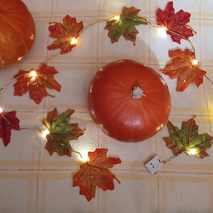 Può includere: Due zucche arancioni e una stringa di luci a forma di foglie d'acero su una tovaglia color crema. Le foglie sono rosse, arancioni e verdi, con piccole luci. Le zucche sono rotonde e lisce.