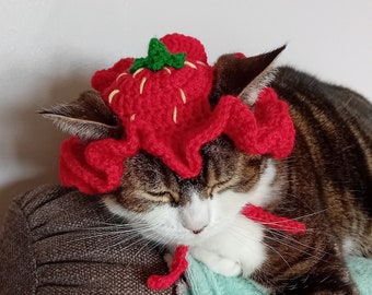 May include: A tabby cat wearing a red crocheted strawberry hat is sleeping on a green and white blanket. The cat is lying on its side with its head resting on a brown couch.