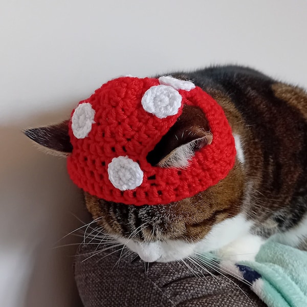 Mushroom Style Cat Hat , Cute Accessories for Small Dogs & Pets , Kitten Costume