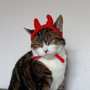 May include: A tabby cat wearing a red crocheted devil horn headband. The cat is sitting on a brown couch and looking at the camera.