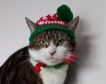 May include: A tabby cat wearing a red and green elf hat with a white pom-pom on top. The cat is looking directly at the camera with a serious expression.