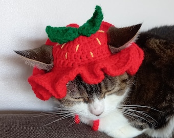 Strawberry Cat Hat, Crochet Pet Accessories, Cat Costume