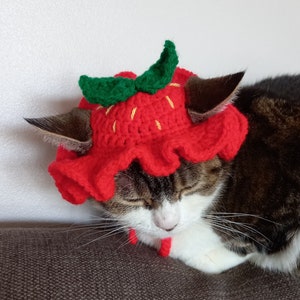 Strawberry Cat Hat, Crochet Pet Accessories, Cat Costume