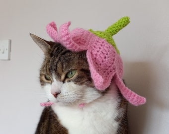 May include: A tabby cat wearing a pink and green crocheted flower hat. The cat is looking to the side with a serious expression.