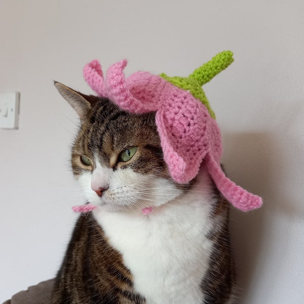 Large Flower Petal Hat for Cats , Cute Pet Dress Up