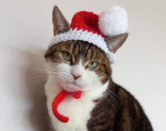 May include: A tabby cat wearing a red and white crocheted Santa hat with a white pom-pom on top.
