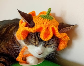 Pumpkin Cat Hat, Crochet Bucket Hat for Pets, Kitten Costume