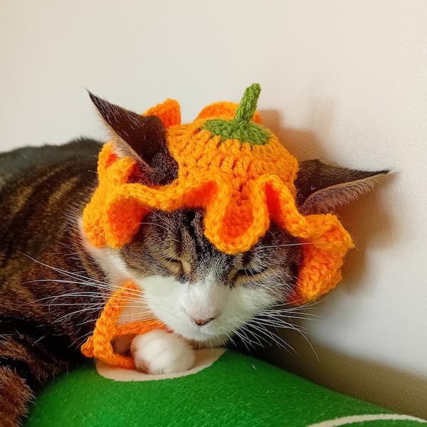 Pumpkin Cat Hat, Crochet Bucket Hat for Pets, Kitten Costume