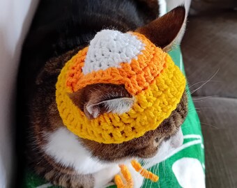 May include: A brown and white cat wearing a crocheted orange, yellow, and white candy corn hat.