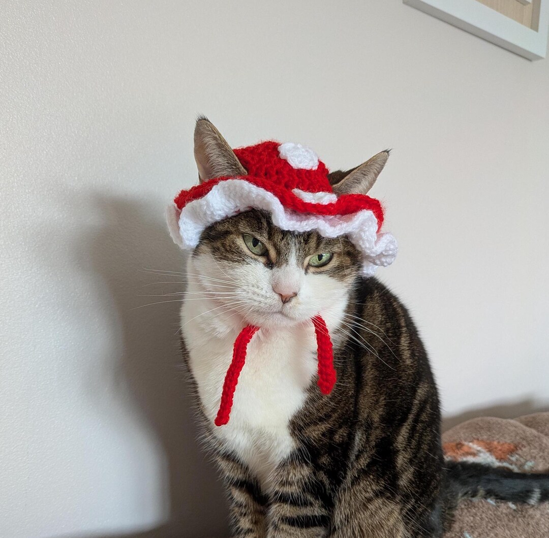 Mushroom Cat Hat: Frilly Hat Pet Costume - Etsy