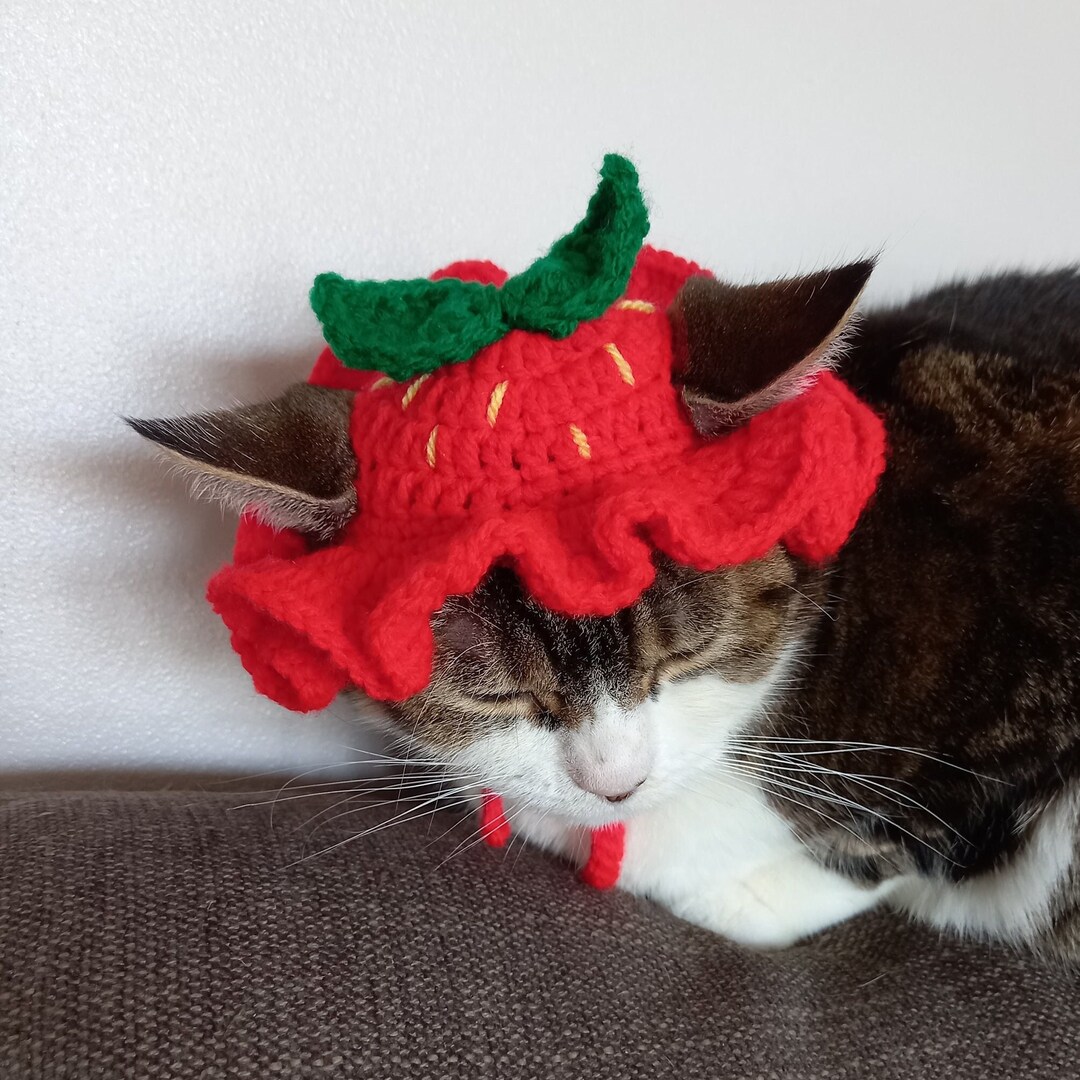 Strawberry Cat Hat, Crochet Pet Accessories, Cat Costume Etsy